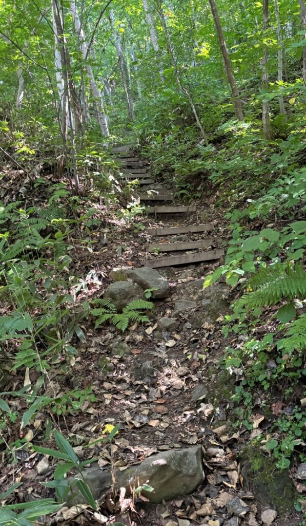 四の坂登山道