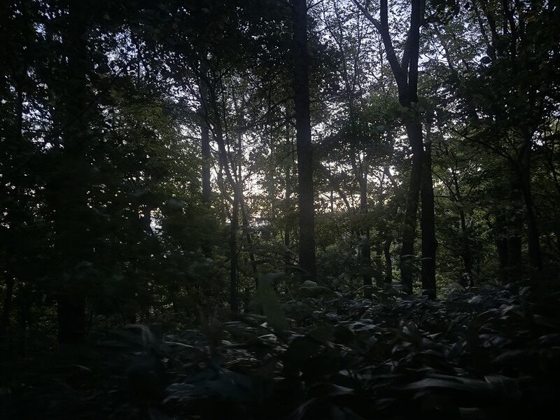 三角山登山道