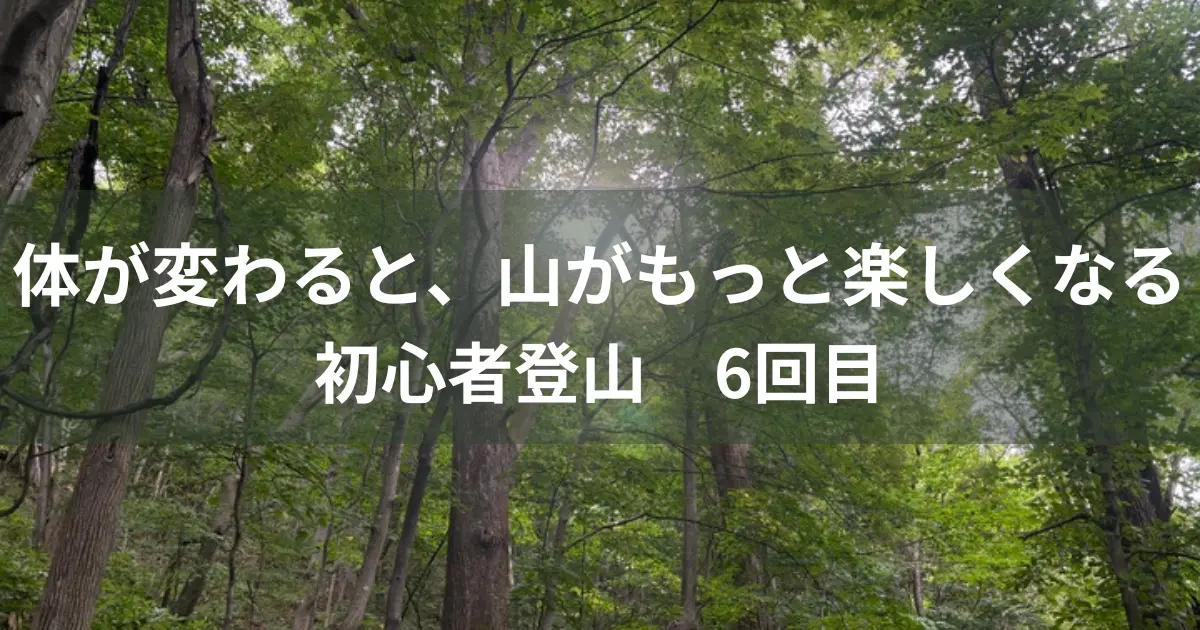 登山で体が変わる