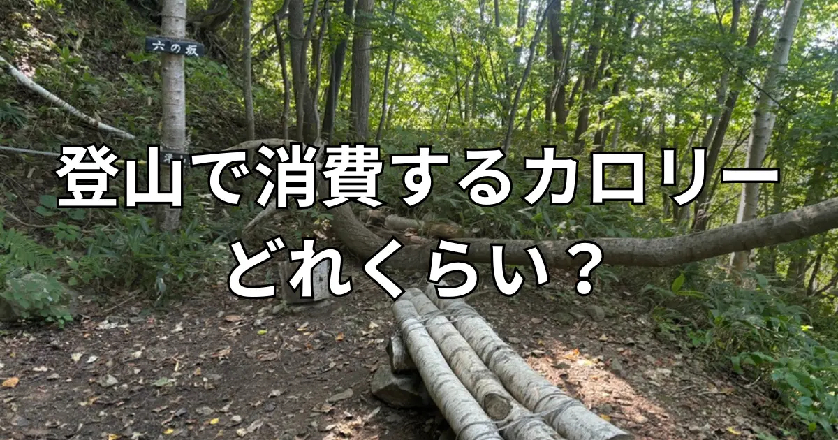 登山の消費カロリー