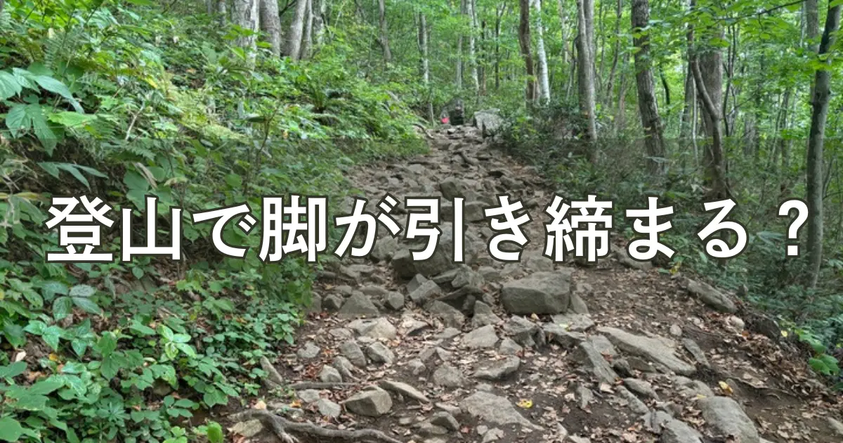 引き締め効果